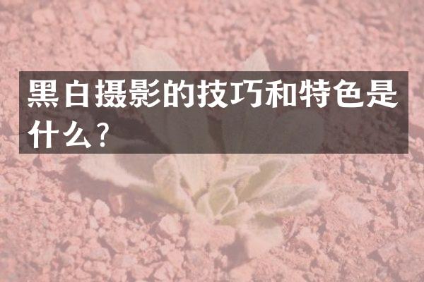 黑白摄影的技巧和特色是什么？