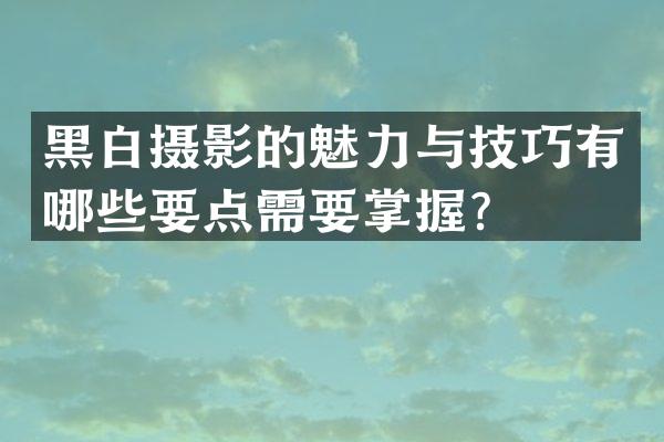 黑白摄影的魅力与技巧有哪些要点需要掌握？