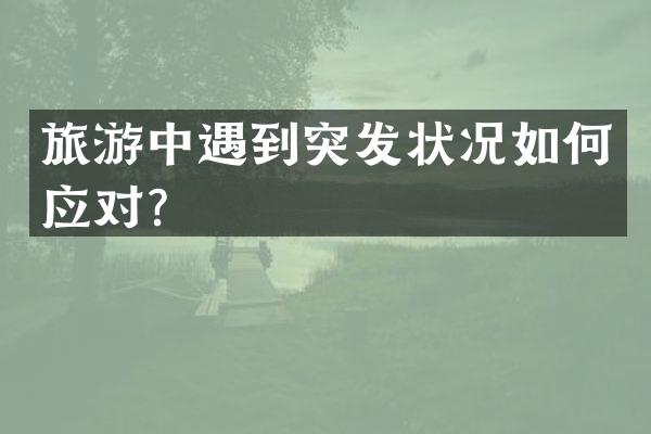 旅游中遇到突发状况如何应对？