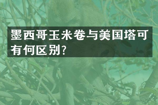 墨西哥玉米卷与美国塔可有何区别？