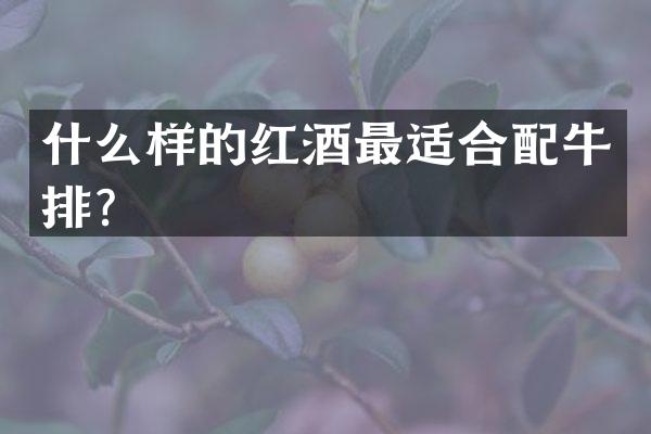 什么样的红酒最适合配牛排？