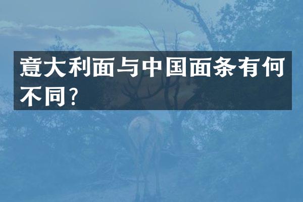 意大利面与中国面条有何不同？