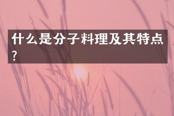 什么是分子料理及其特点？